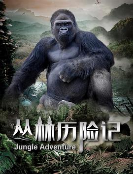 丛林历险记2020 丛林历险记2020